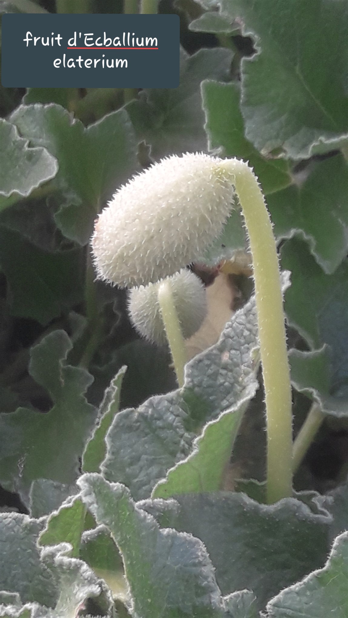 20191110_160518