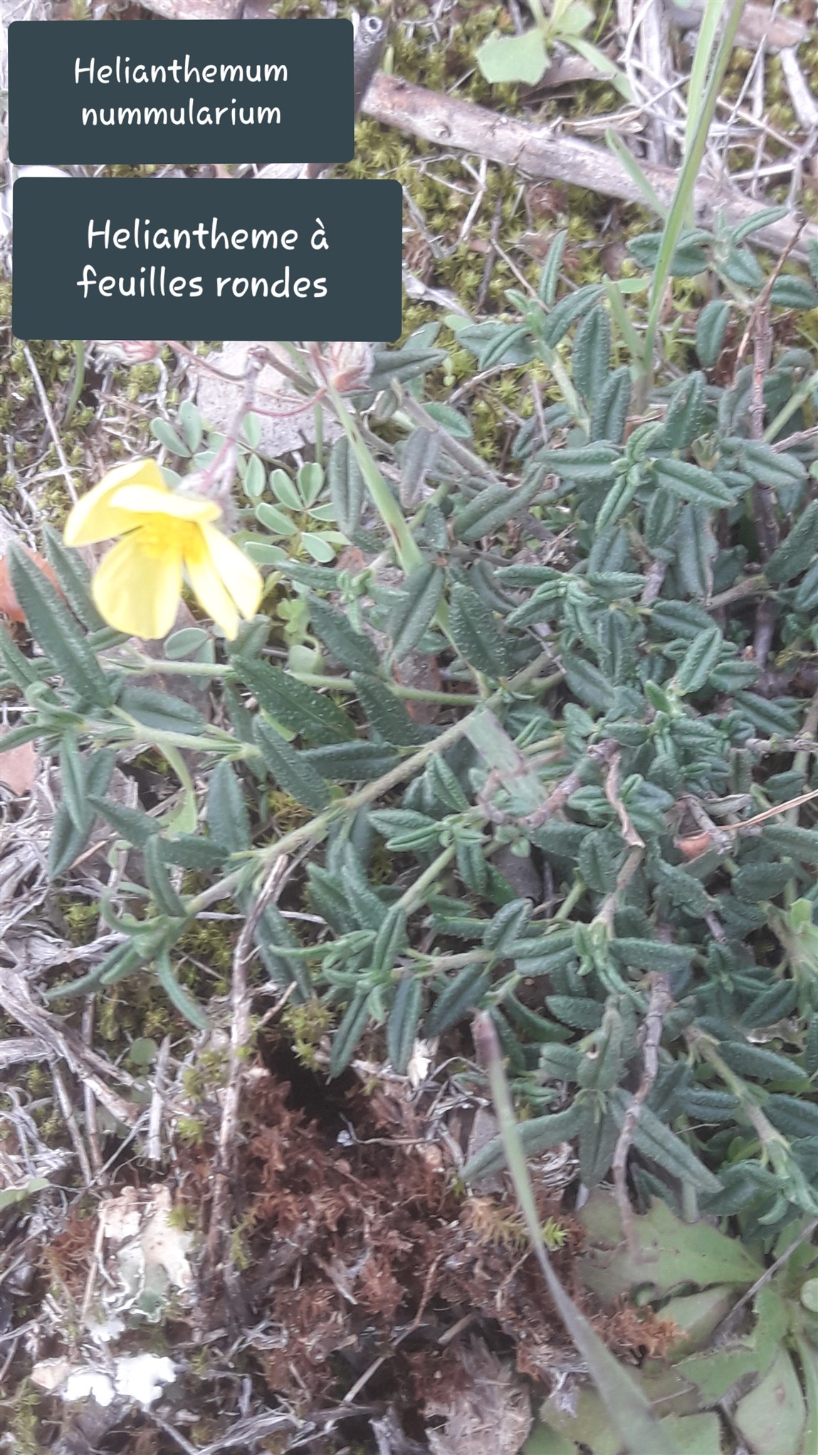20191110_160841