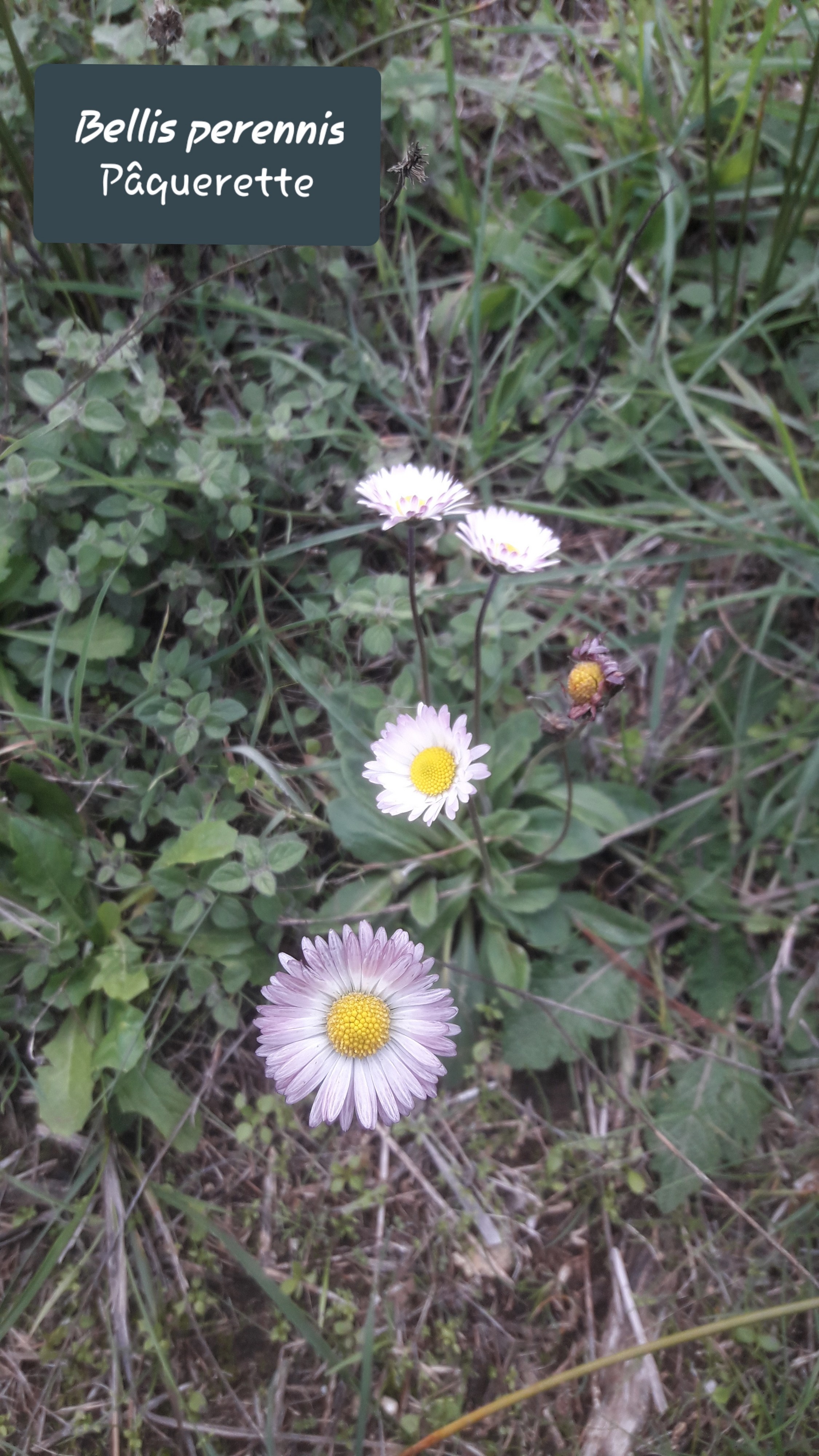20191119_173852