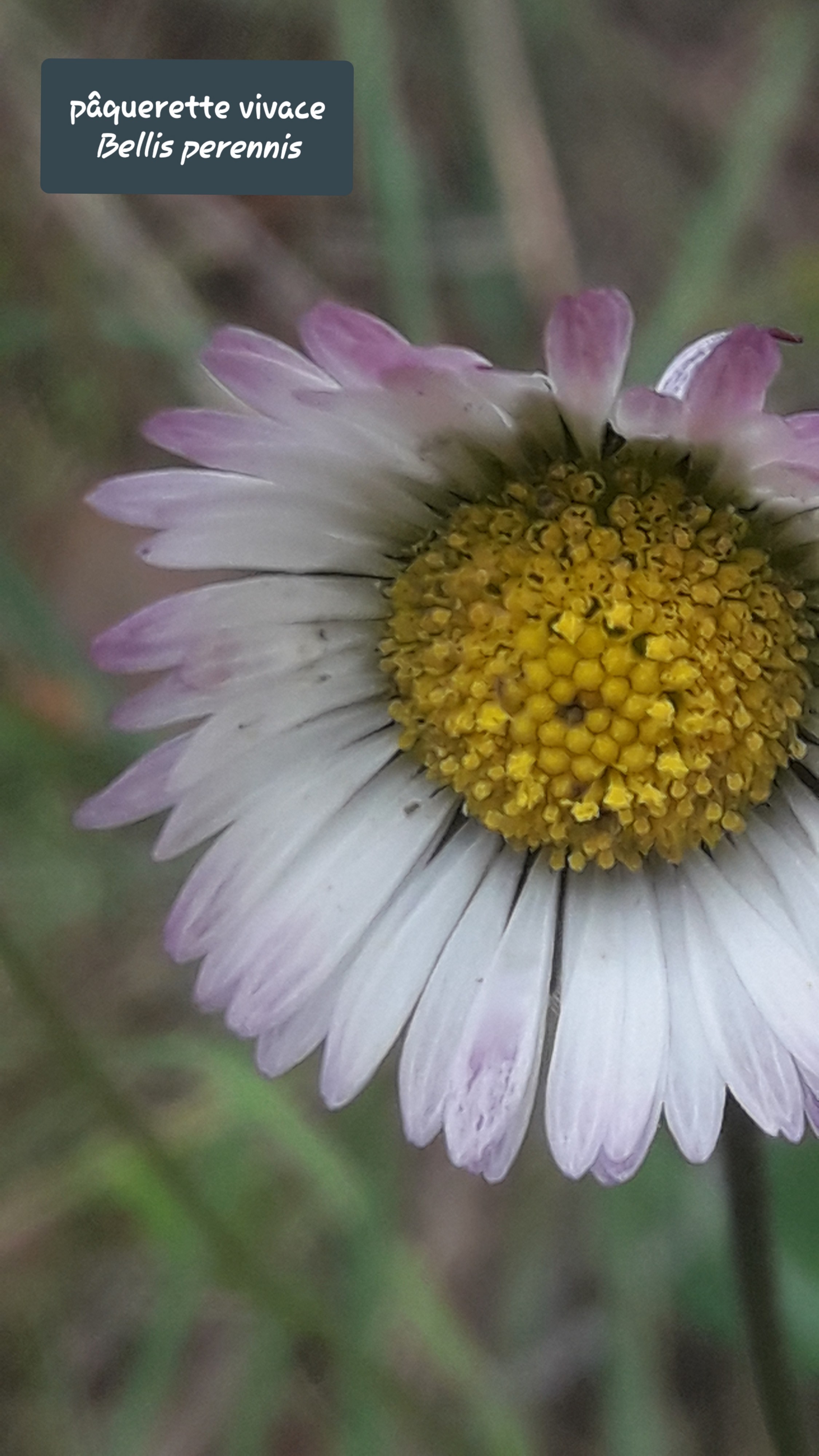 20191119_175400