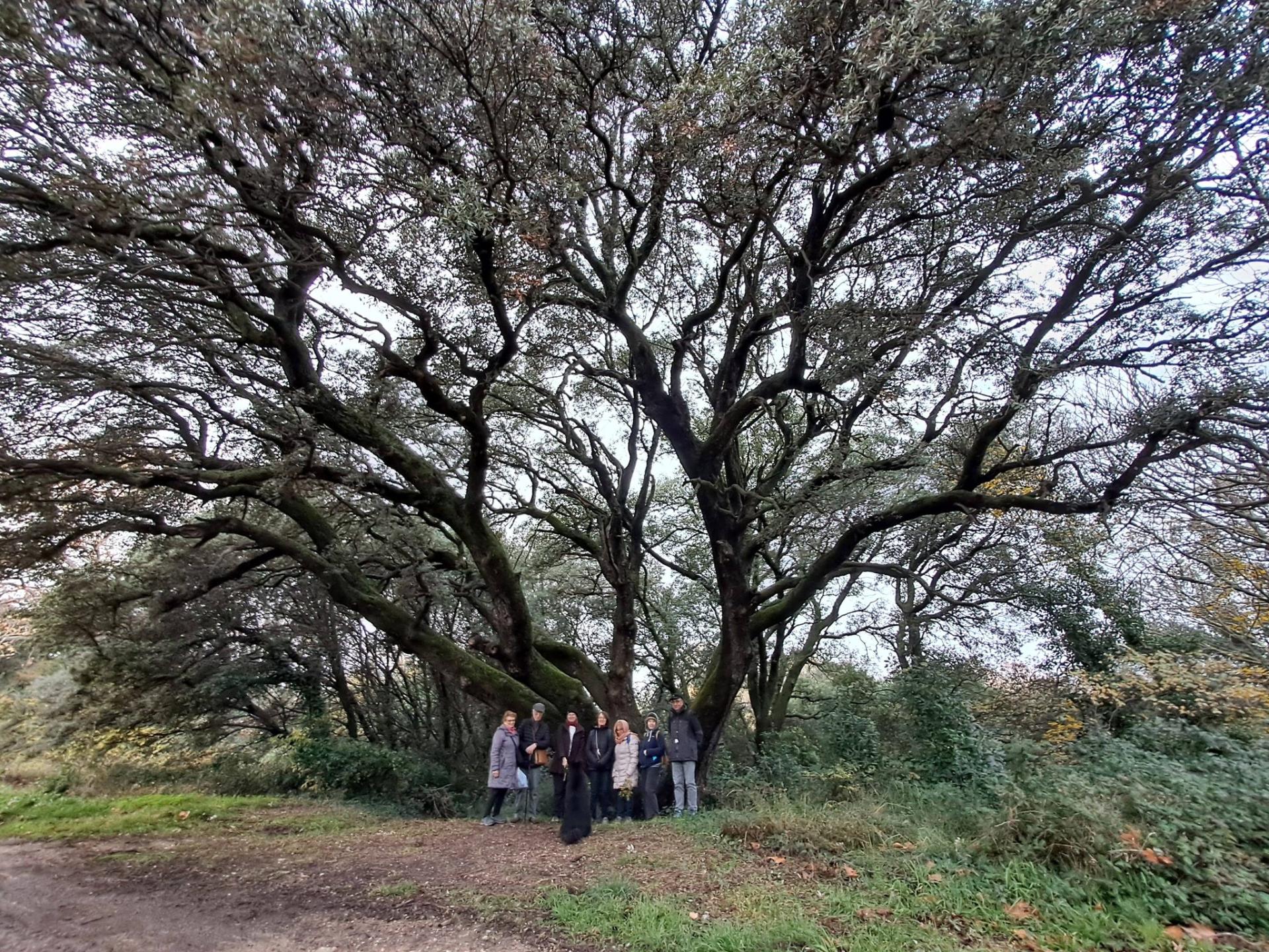 Botanistes 04 12 25 01