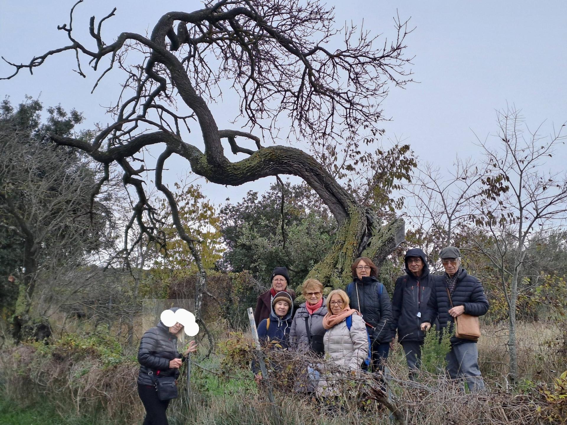 Botanistes 04 12 25 02