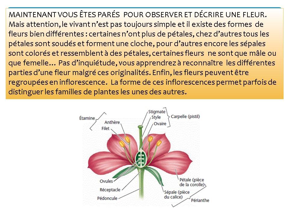 Diapositive10 102