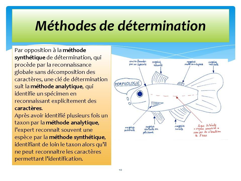 Diapositive10 103