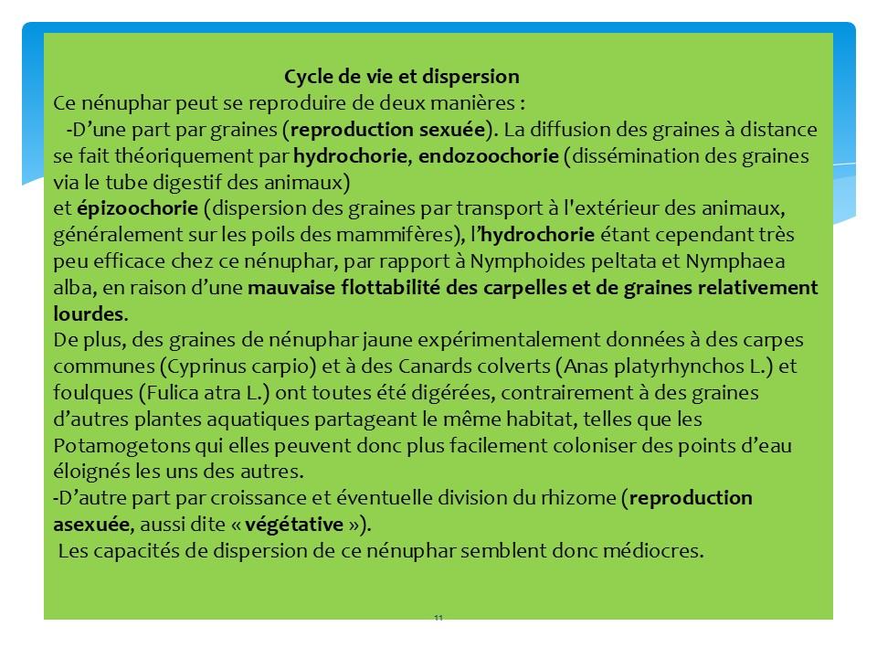 Diapositive11 38