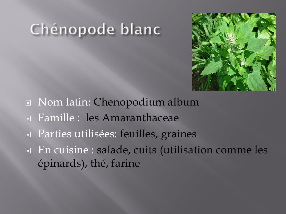 Diapositive12 34
