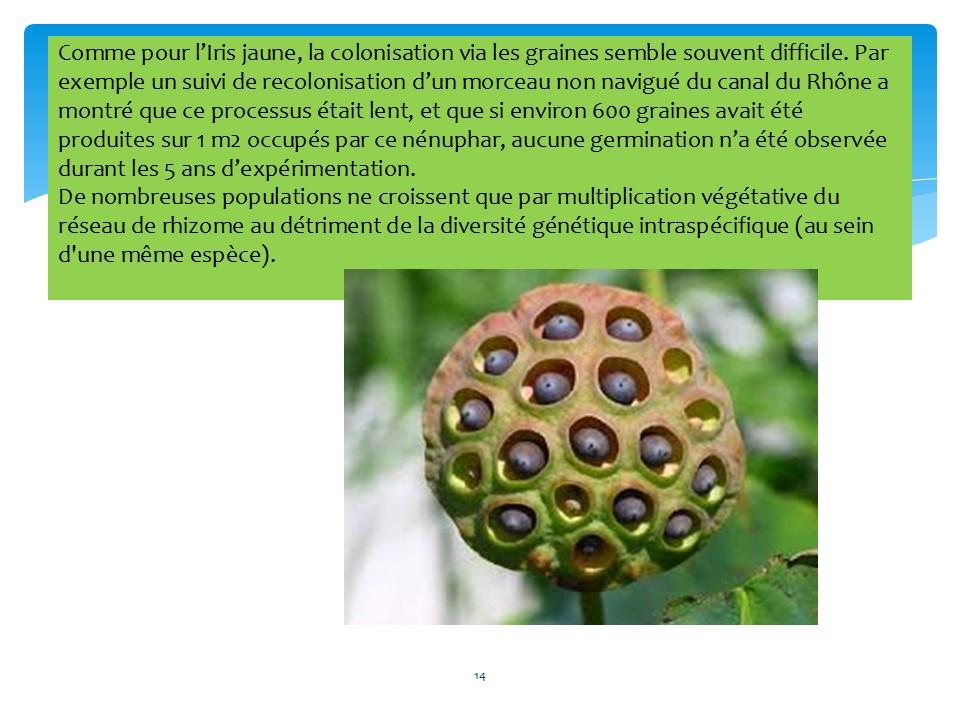Diapositive14 35