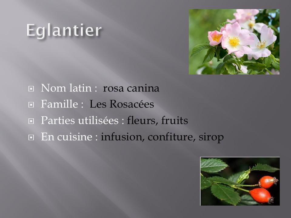 Diapositive15 31