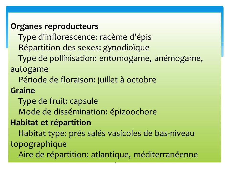 Diapositive24 59