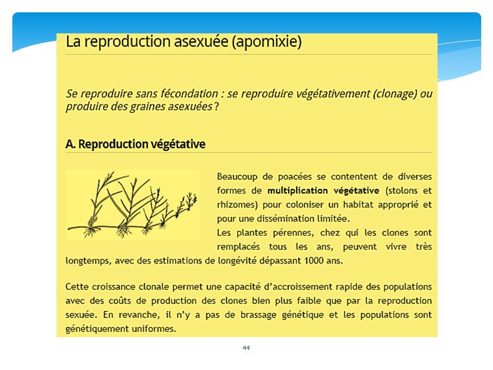 Diapositive44 9