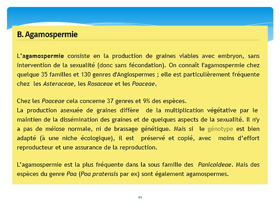 Diapositive45 8