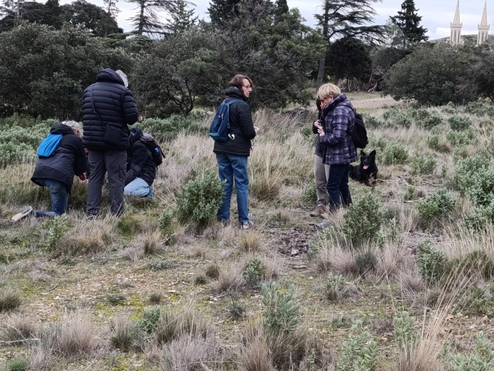 Img 20251210 151135 1