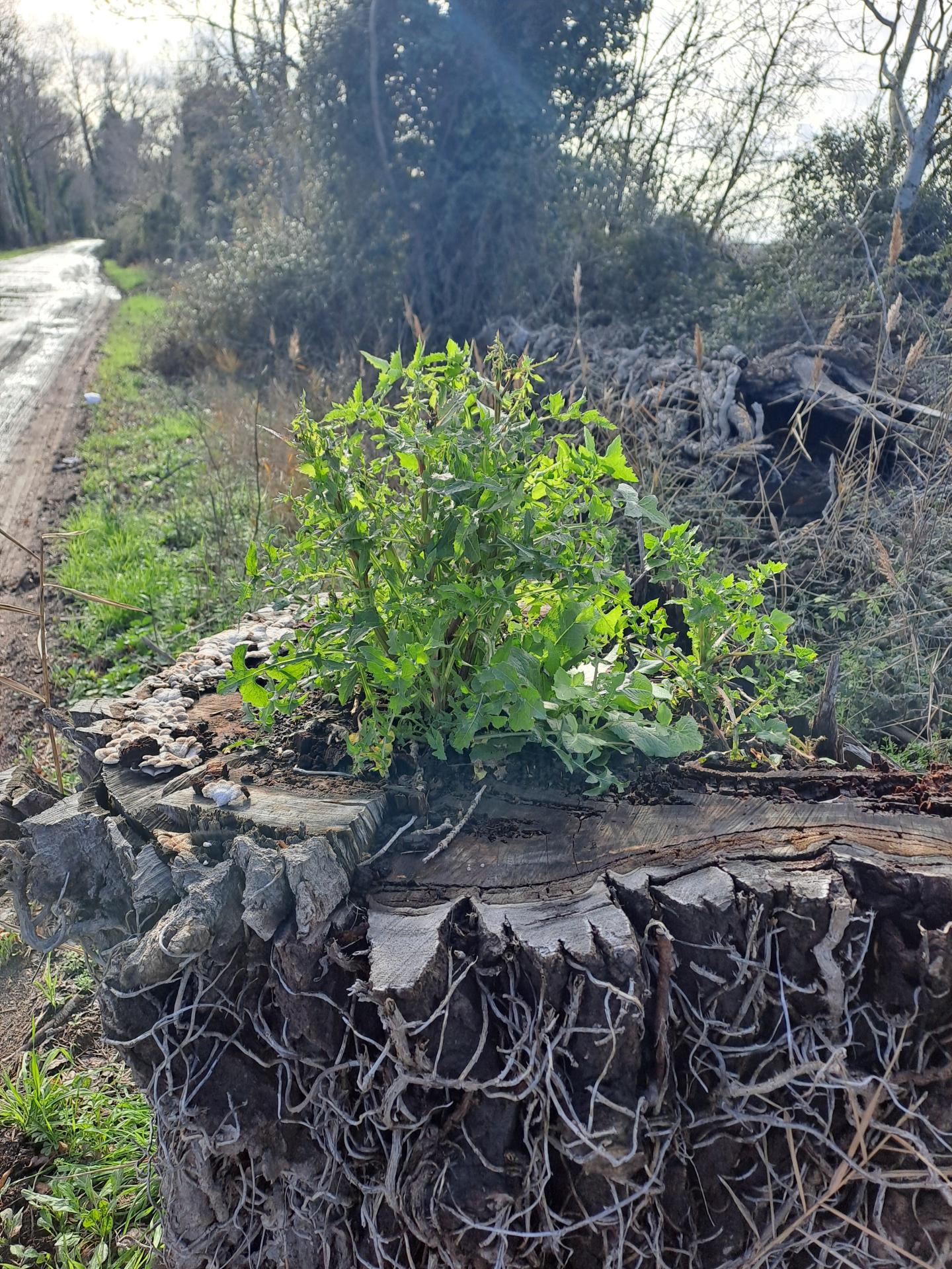 L envie de vivre 01 28 01 26