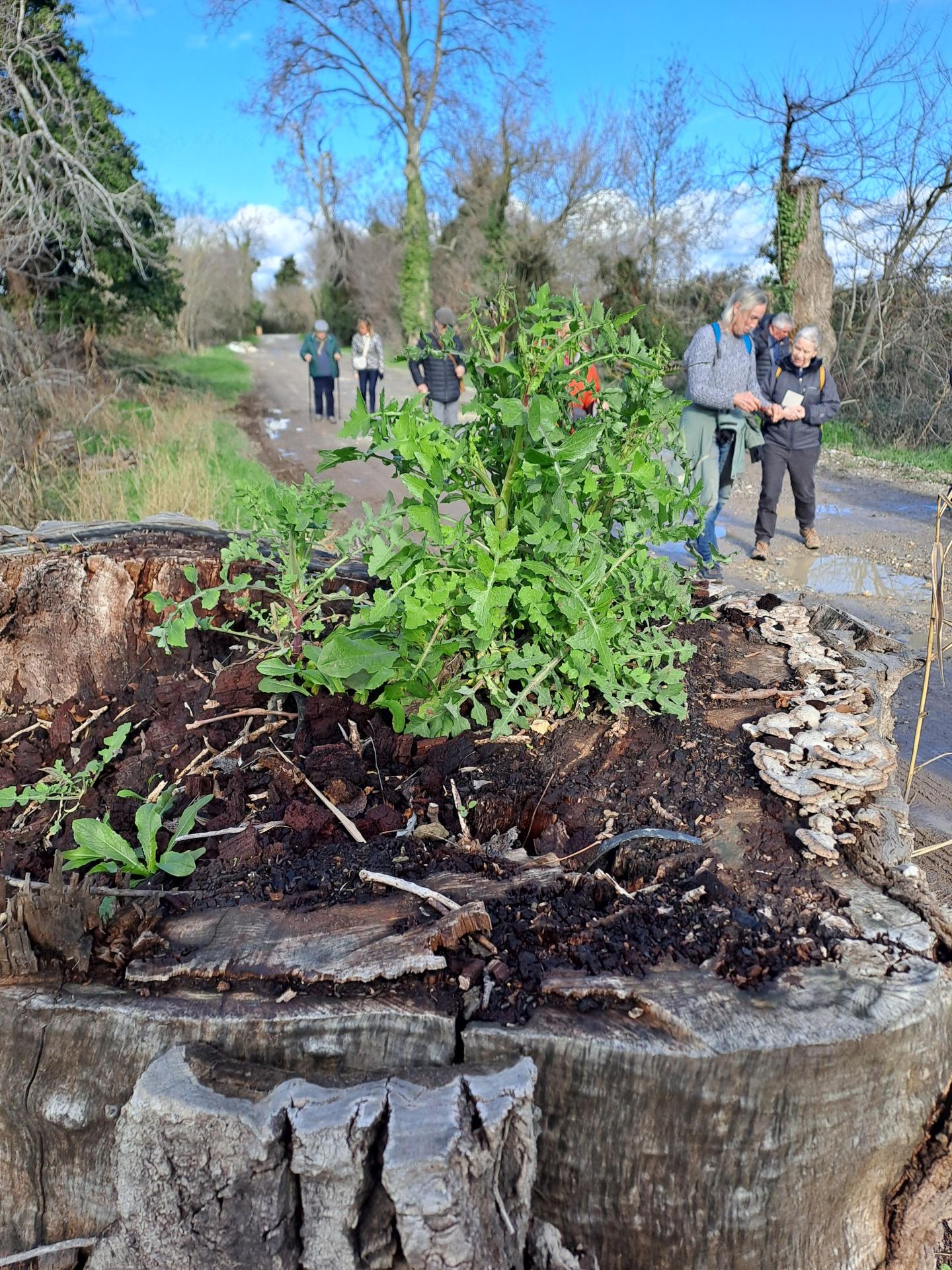 L envie de vivre 02 28 01 26