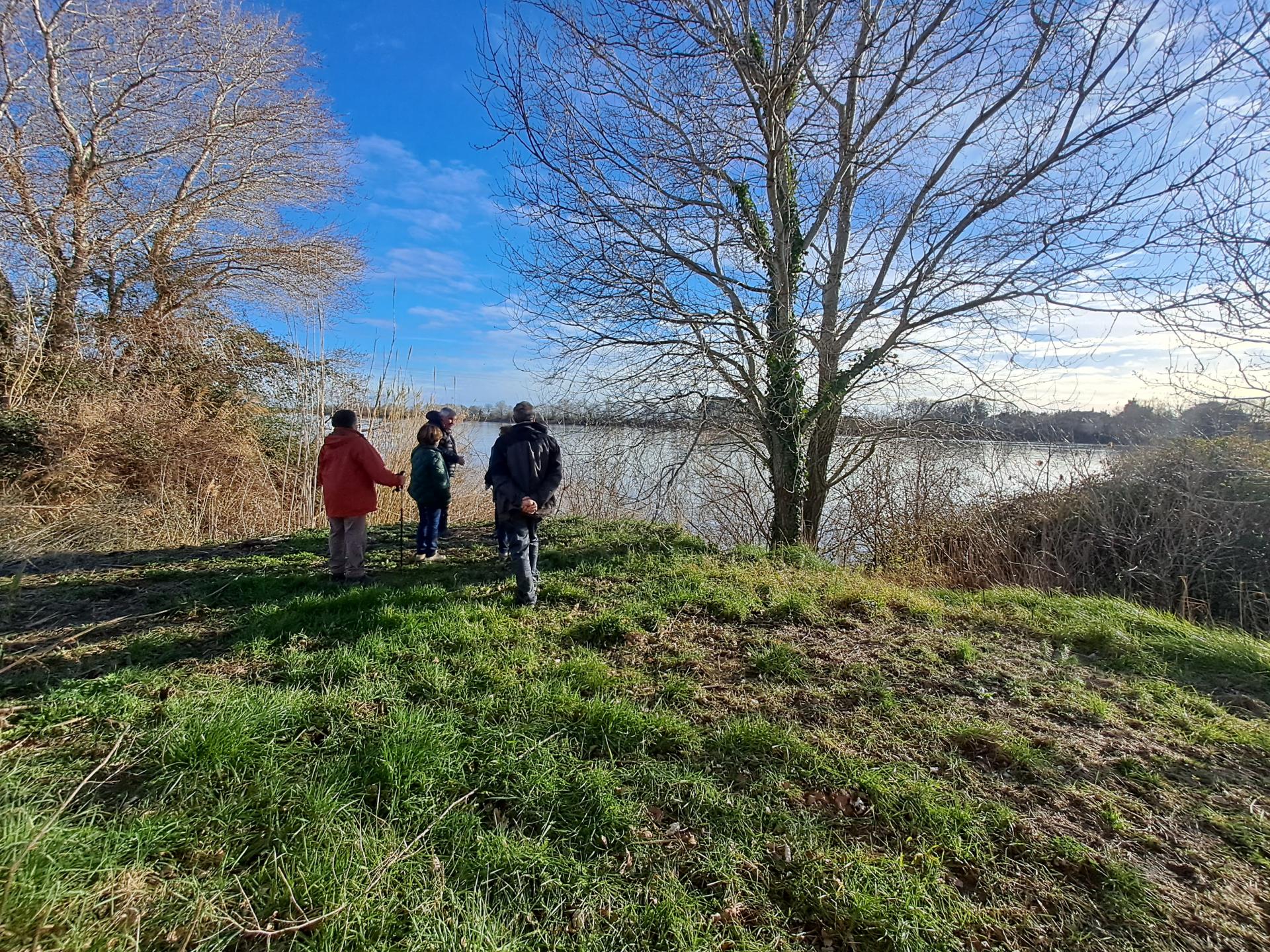 Les bords du rhone 01 28 01 26