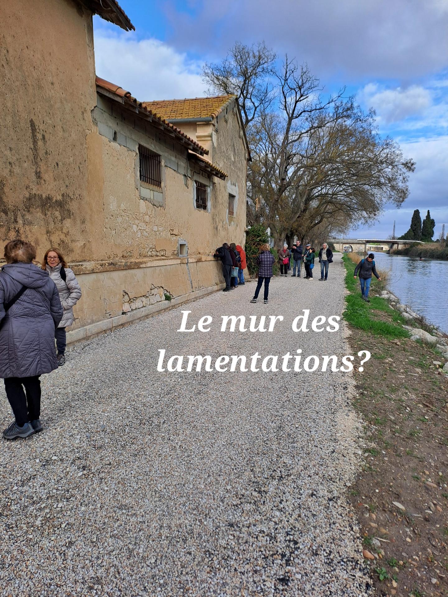 Recherche de lichens 01 21 01 26